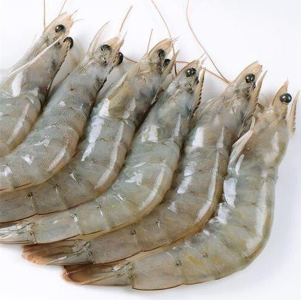 VANAMI PRAWNS / CHEMEEN / വനാമി(60 C)