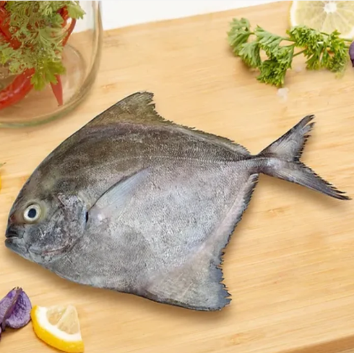 [945] BLACK POMFRET / KARUTHA AVOLI / കറുത്ത ആവോലി (2-3PCS)