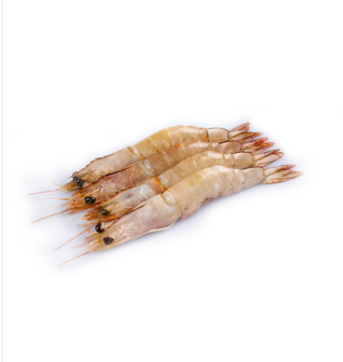 [4338] SEA WHITE PRAWNS / NAARAN CHEMEEN / നാരൻ (40-50C)