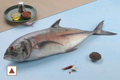 [126] TREVALLY / വറ്റ / VATTA (LARGE) (WHOLE-500G)