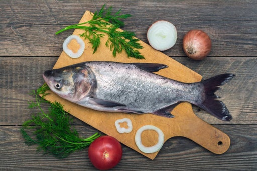 [625] ASIAN CARP / CATLA /കട്‍ല (S)