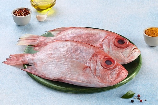[635] BIG EYE SNAPPER/ KANNAN POLA / കണ്ണൻ പോള (L)