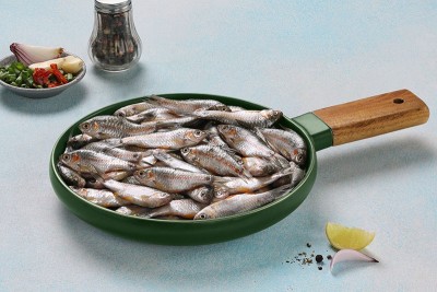 [677] POOL BARB / UNDAKANNI / ഉണ്ടക്കണ്ണി