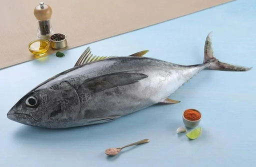 [687] SKIPJACK TUNA  / CHOORA / ചൂര